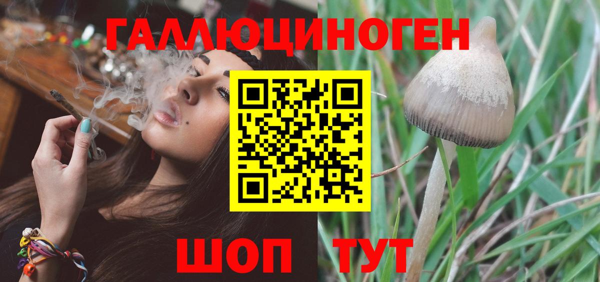 Воскресенск  Галлюциногенные грибы Psilocybe  Вход с VPN  Псилоцибиновые грибы Cubensis 